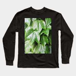 leaves after rain Long Sleeve T-Shirt